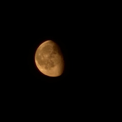 Moon is dead