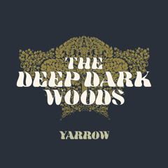 Discover Weekly Archive - 2