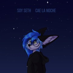 Cae La Noche