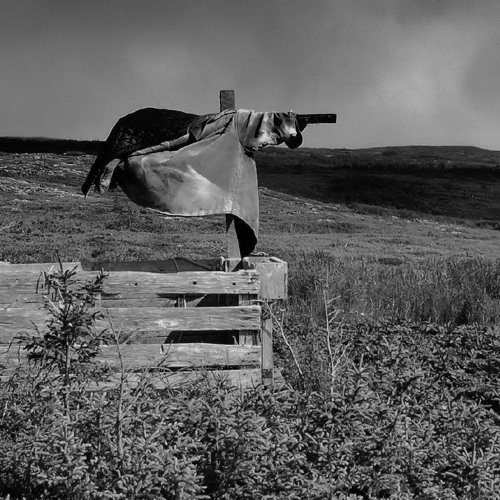 May fav poems (my voice)