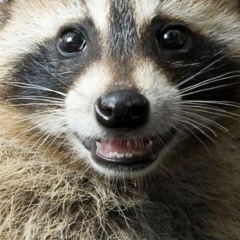 DJ RATAFIA - HARD TRANCE/ HARD TECHNO n°2