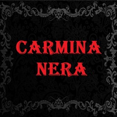 The Memory Remains (Cover)