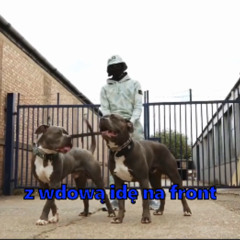 REWII - WDOWA