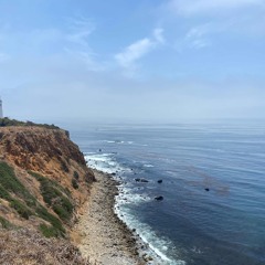 The Light ☀️☀️☀️☀️