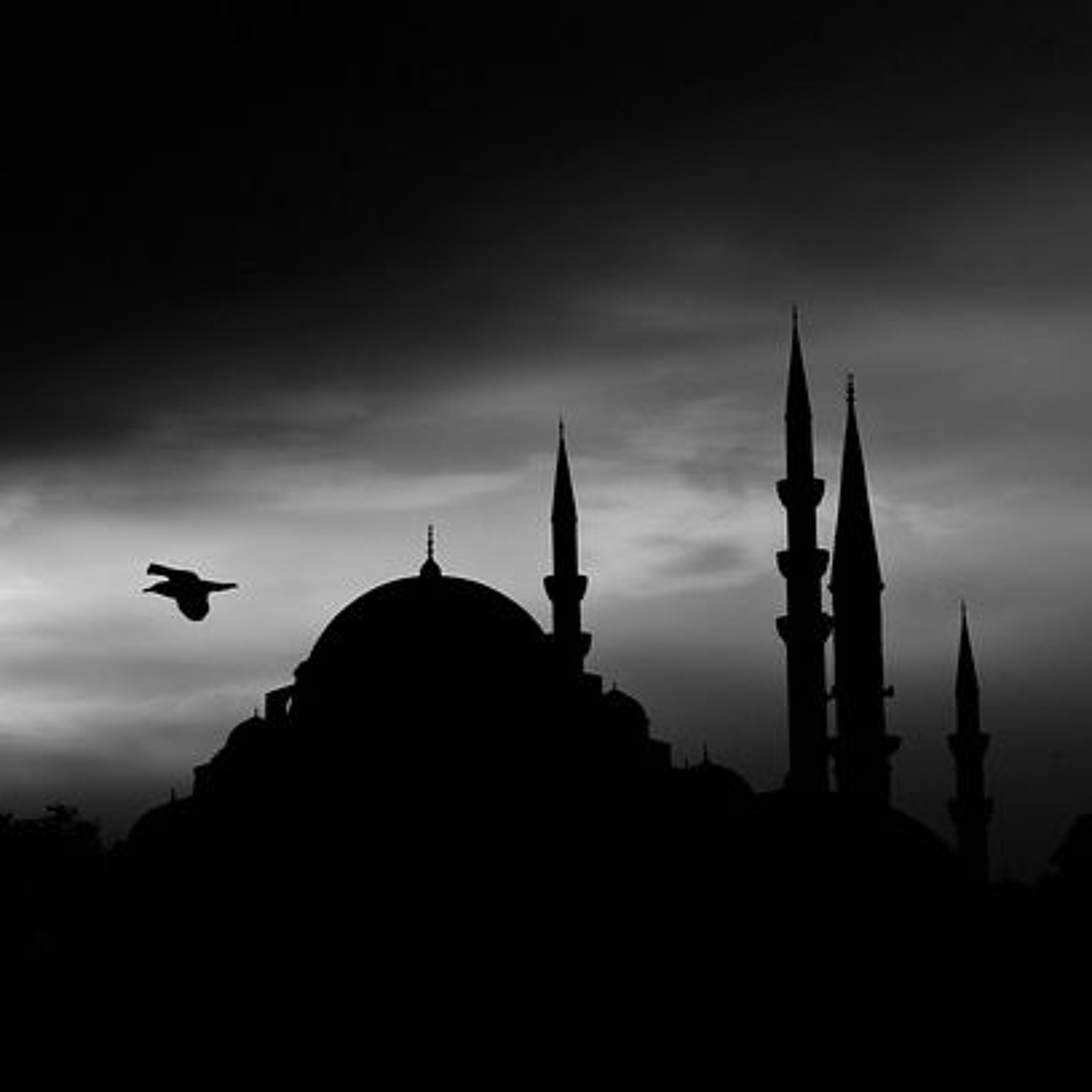 The "Conceptzia" - Phantom Nation