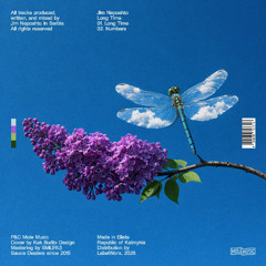 PREMIERE: Jim Naposhto - Long Time [Mole Music]