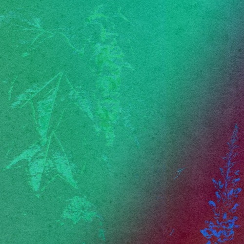 Lost In Ether | P R E M I E R E | UMA Soundsystem - El Angulo y Las Flores [Diffuse Reality Records]
