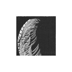 PREMIERE: Mule Driver - ...And I Was There Too [Confused Machines]