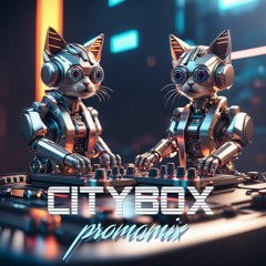 Citybox - Promo Mix