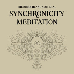 THE BORDERLAND'S OFFICIAL SYNCHRONICITY MEDITATION