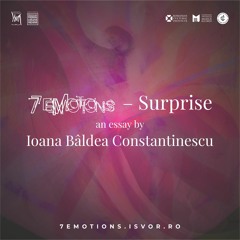 Surprise - an essay by Ioana Bâldea Constantinescu