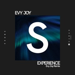 Evy Joy - Experience (Evy Joy Remix)