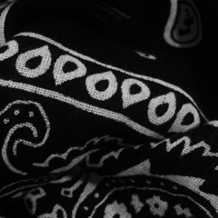 RIAFOUN RE-WINIFEI -- AN.YAPAN/