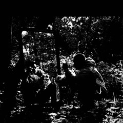 Onethree- Flaws/Evolve