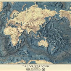 The Ocean's Denizens