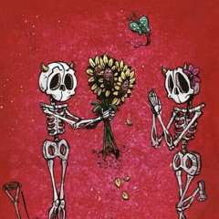 MT Hasa Wigs 💔Strangers💔