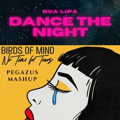 No Time For Tears X Dance The Night (Pegazus Mashup)
