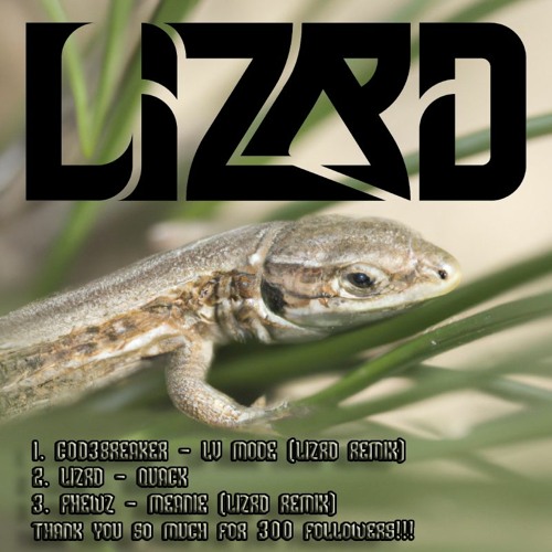 LIZRD - DUCK (FREE EP DOWNLOAD IN DESC)