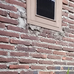 my life l'm taking the crown