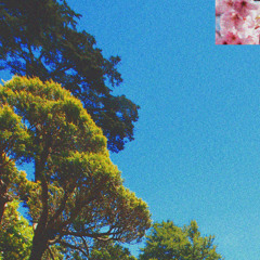 little garden