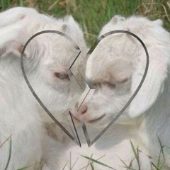 Alanis Yuki - Deseo ( ProdMarvin Neo Soul Boootleg )