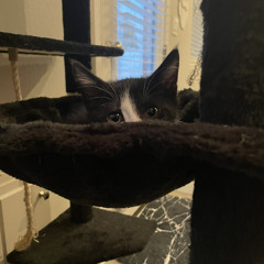 If i only could.. *Never2BeFinished*