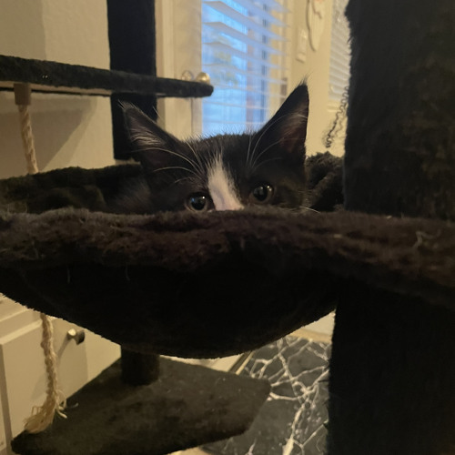 If i only could.. *Never2BeFinished*