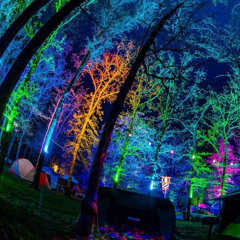 Traveler On Acid  •HardTek•
