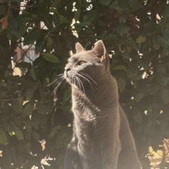 take it slow (prod. rosefromthepain) [on all platforms]