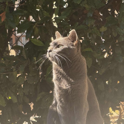 life support (prod. slashy) [on all platforms]