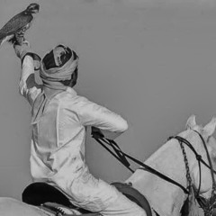 عوازم في حـرب ولافي سلام