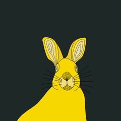 the yellow rabbit