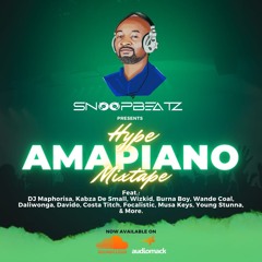 SnoopBeatz - Hype Amapiano