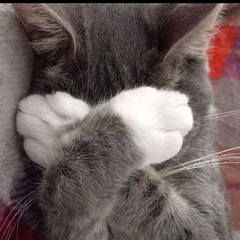 Mike Sherm x BabyTron x Just in Case