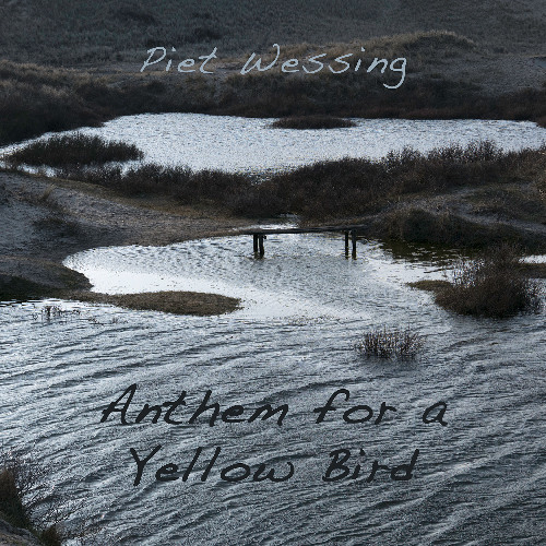 Anthem for a Yellow Bird
