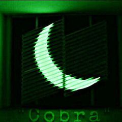 “cobra” freestyle -(feat. lil swoop)