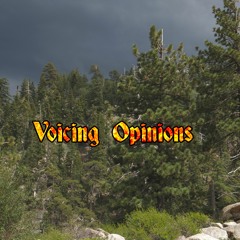 Voicing Opinions-  (Amma *, C.ooke )