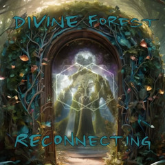 Innoxia Live @ Divine Forest - Reconnecting