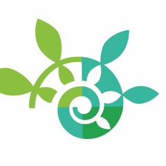 PL15 : impacts sur la privatisation des soins, la cogestion médicale et la participation des usagers