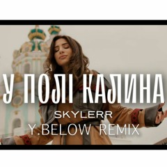 Skylerr - У Полі Калина Y.Below RMX
