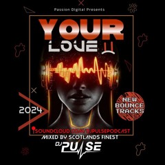 DJ Pulse Your Love