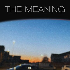 Robert Dani - The Meaning