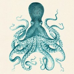Turquoise Octopus