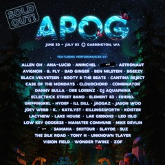 B.Fly Live At APOG Festival 2023 - Wildwood Stage - Caravan Showcase
