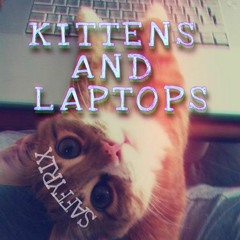 Kittens And Laptops