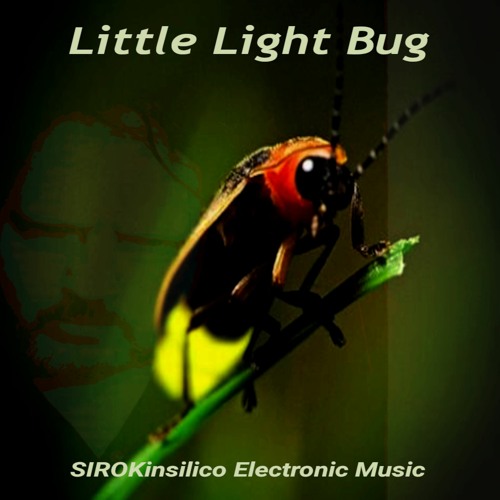 Little Light Bug (Bichito de Luz)
