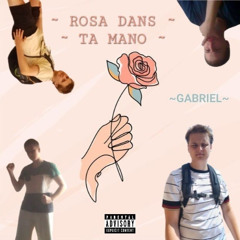 ROSA DANS TA MANO