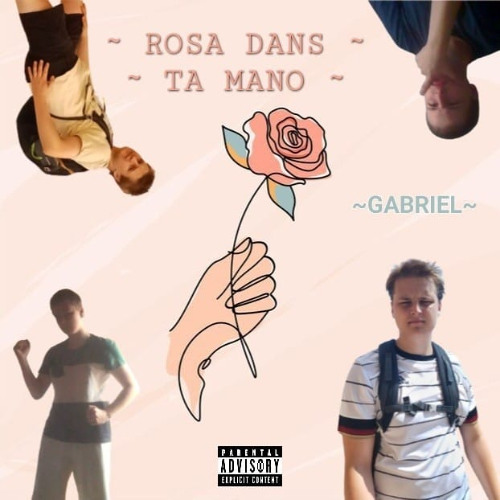 ROSA DANS TA MANO