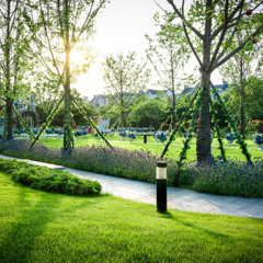 The Indispensable Benefits of Urban Green Spaces-Reachgreen