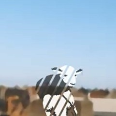 DRINGEND MEHR CHILLN (prod. by waldokay)